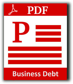 Business Debt Form